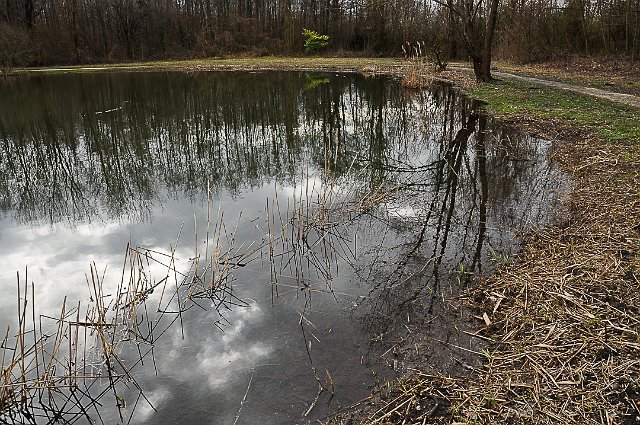 Sortie marais de Montfort-12